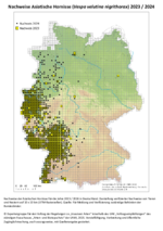 Verbreitungskarte Deutschland Asiatische Hornisse in 2023 und 2024